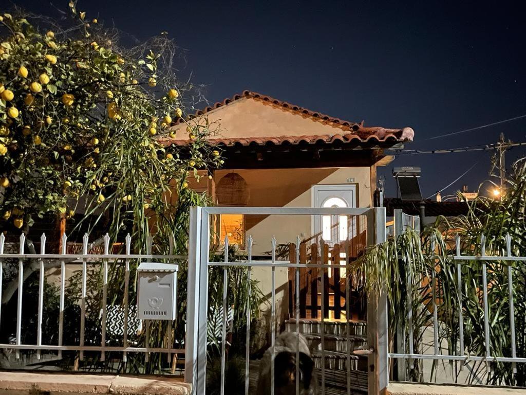 Agapi Home Agios Spyridon  Eksteriør billede